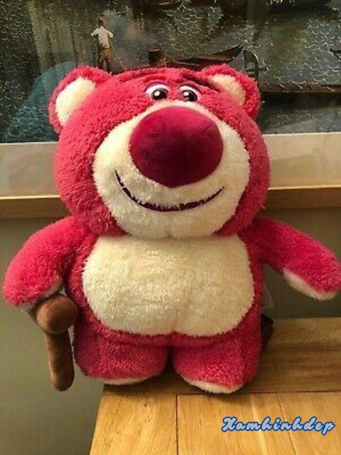 ảnh gấu dâu dễ thương xỉu hd