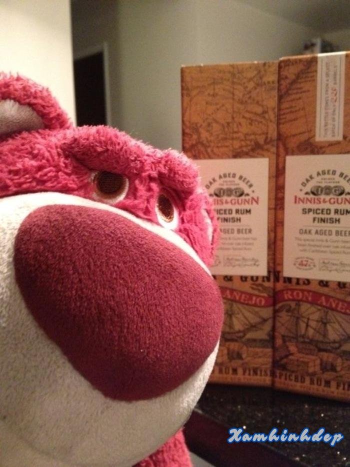 ảnh gấu dâu hot