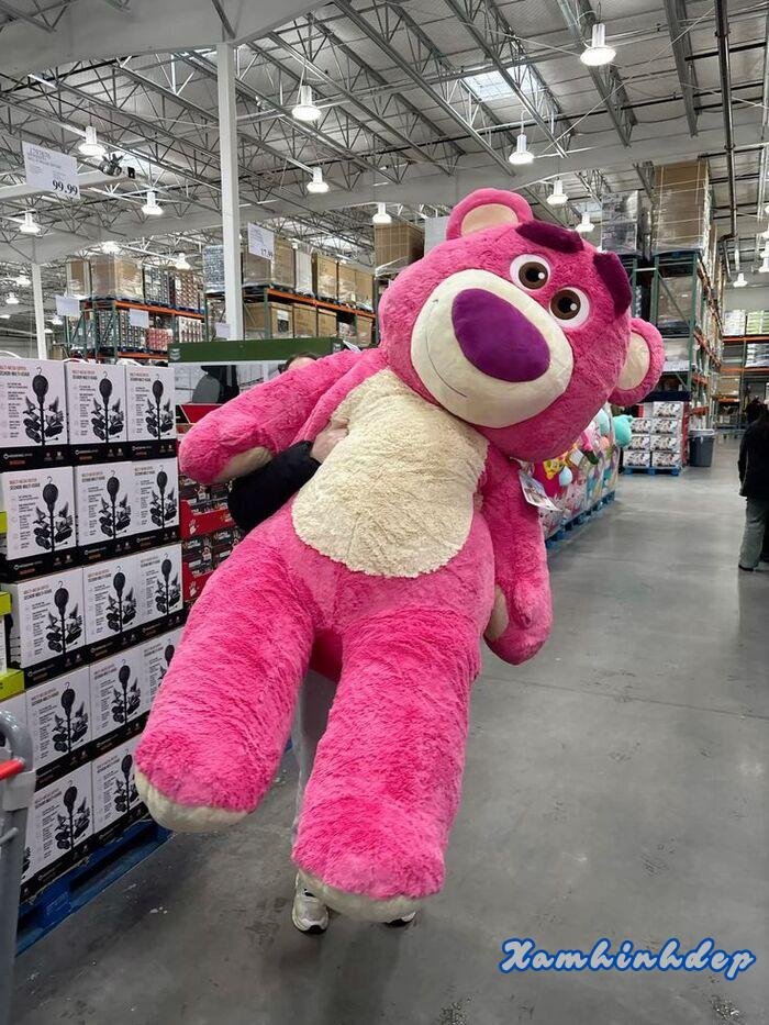 ảnh gấu dâu siêu cute