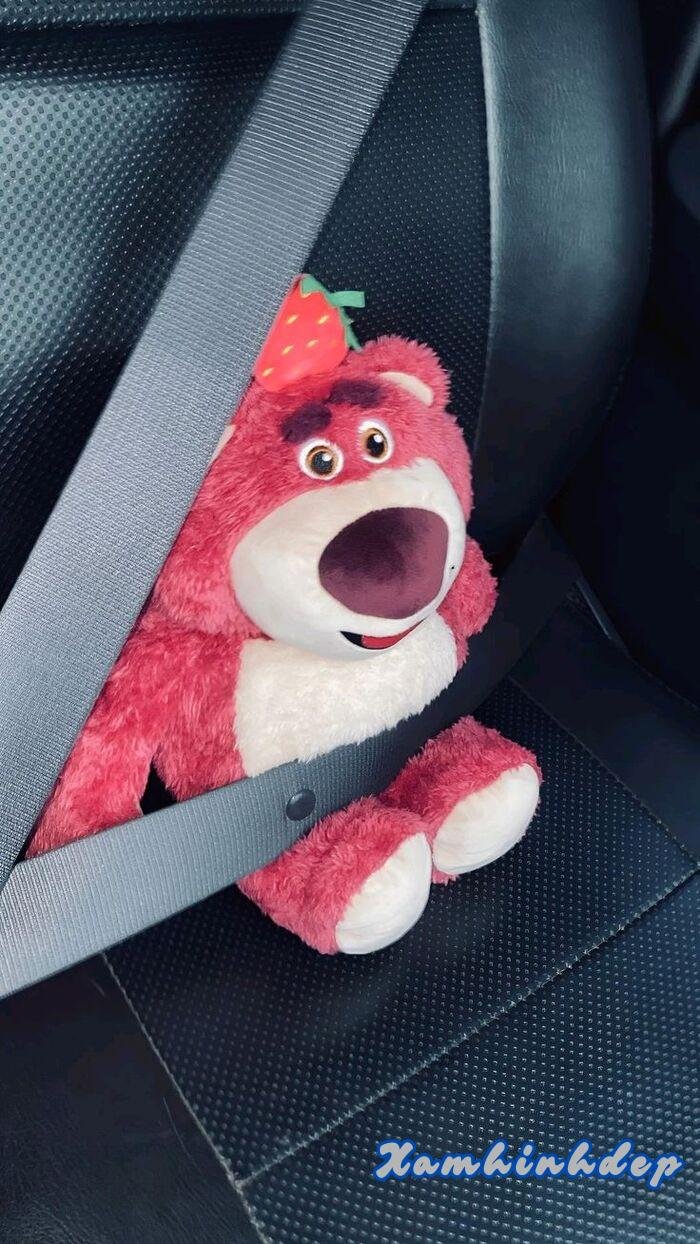 ảnh gấu dâu xinh