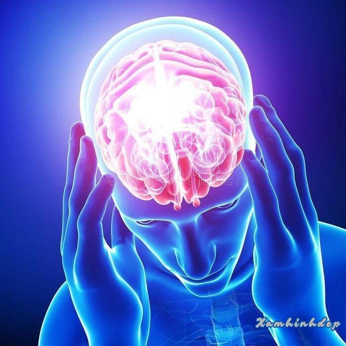 ảnh hài hước não