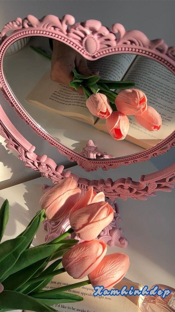 ảnh hoa tulip aethetics cute