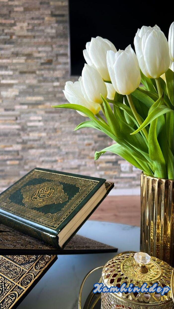 ảnh hoa tulip xinh