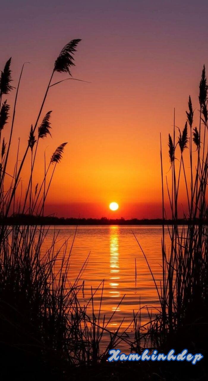ảnh hoàng hôn cực xinh