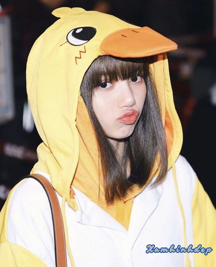 ảnh lisa blackpink dễ thương