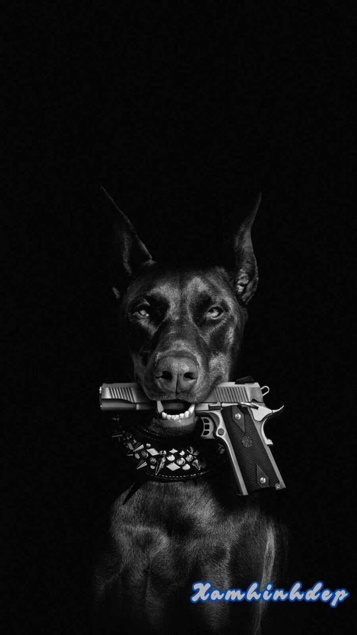 ảnh nền đen siêu hot full hd