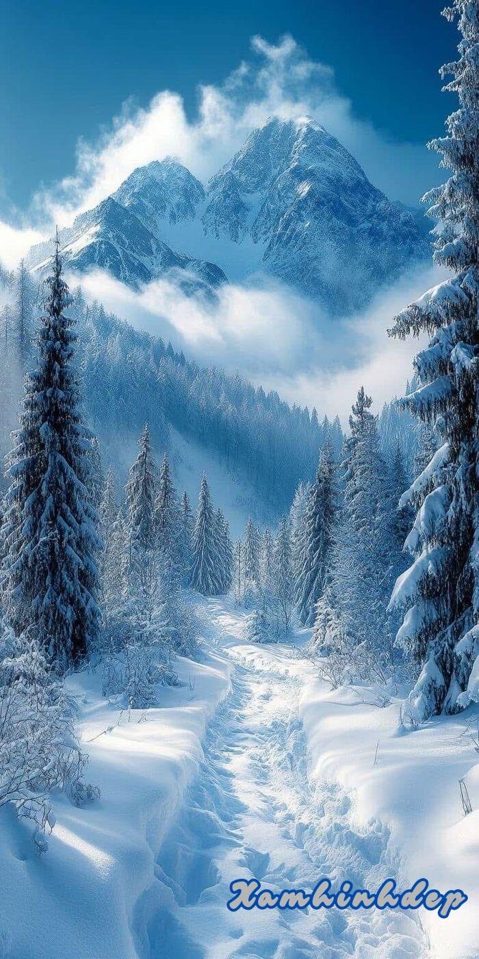 ảnh nền trắng 3d full