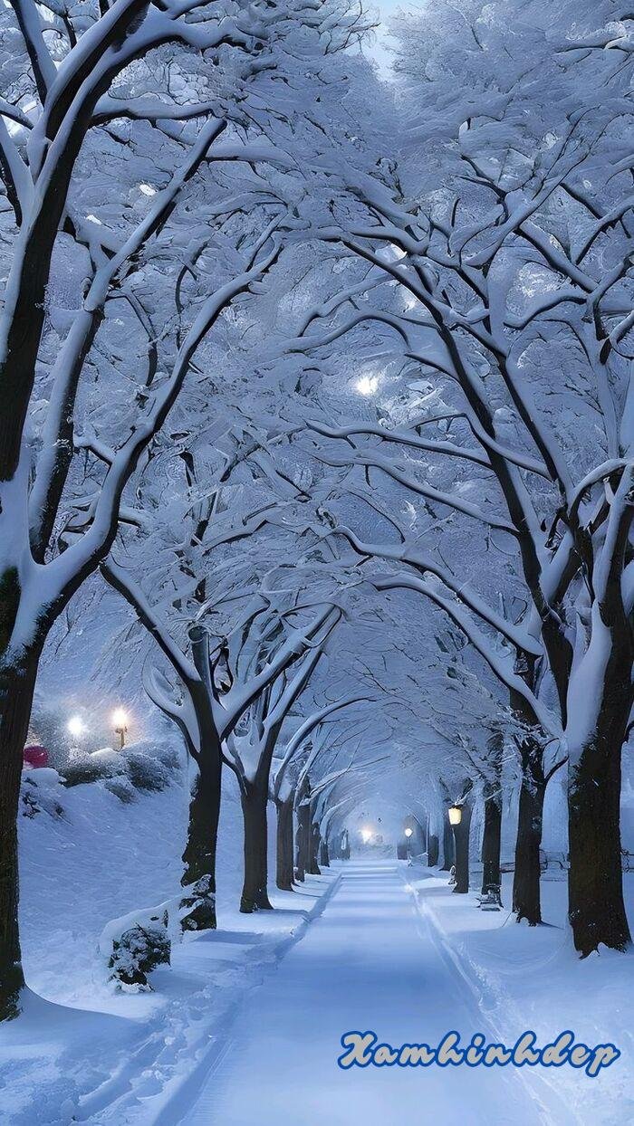 ảnh nền trắng 3s