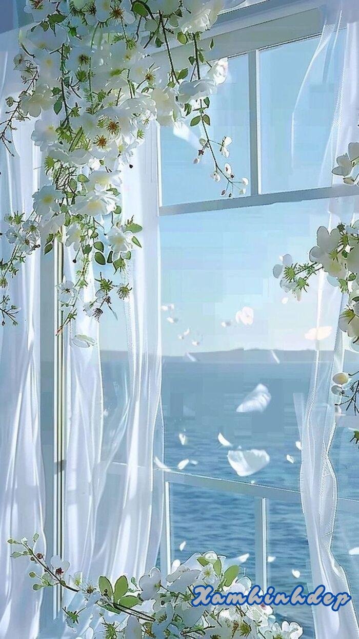 ảnh nền trắng 4s full