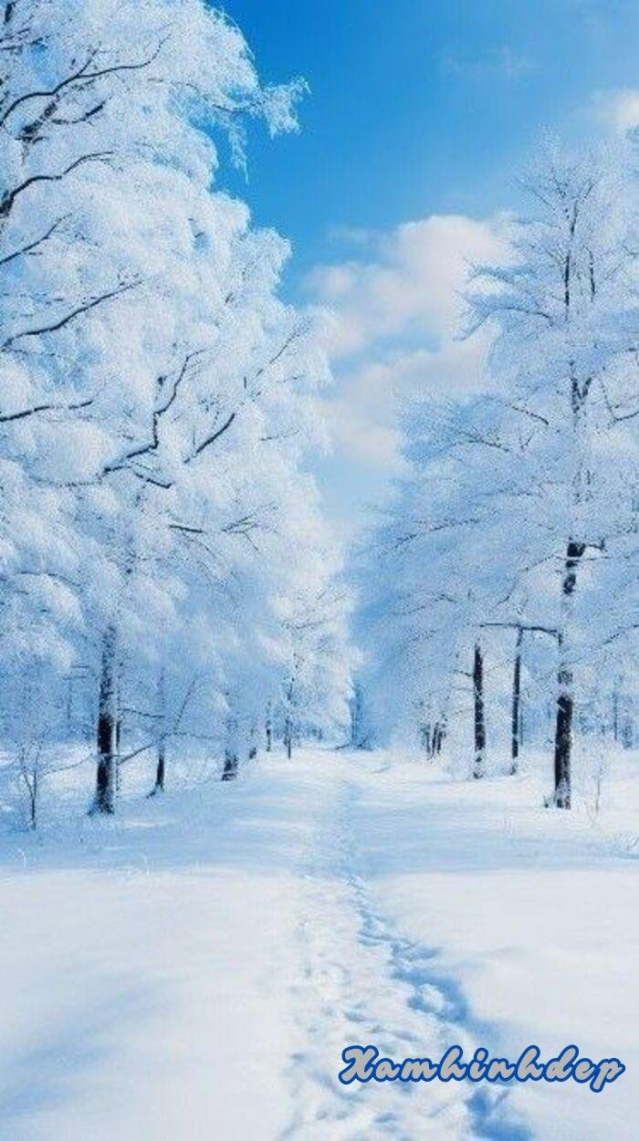 ảnh nền trắng 4s