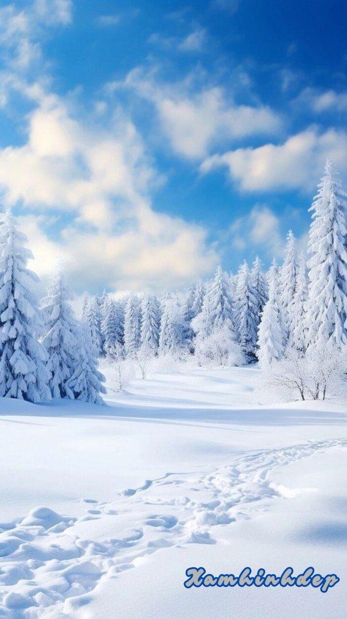 ảnh nền trắng 5k full