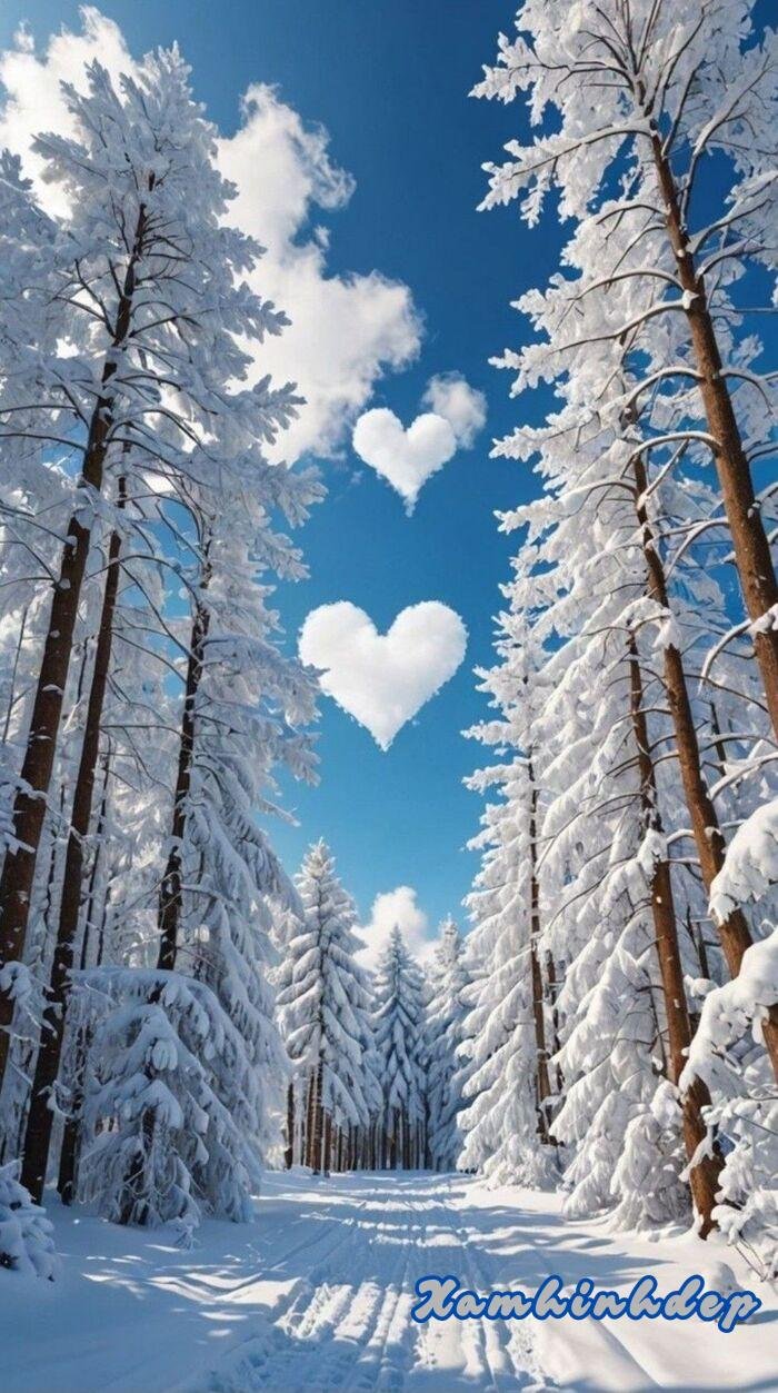 ảnh nền trắng 5k