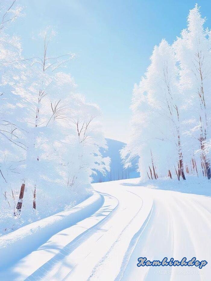 ảnh nền trắng đẹp 3k