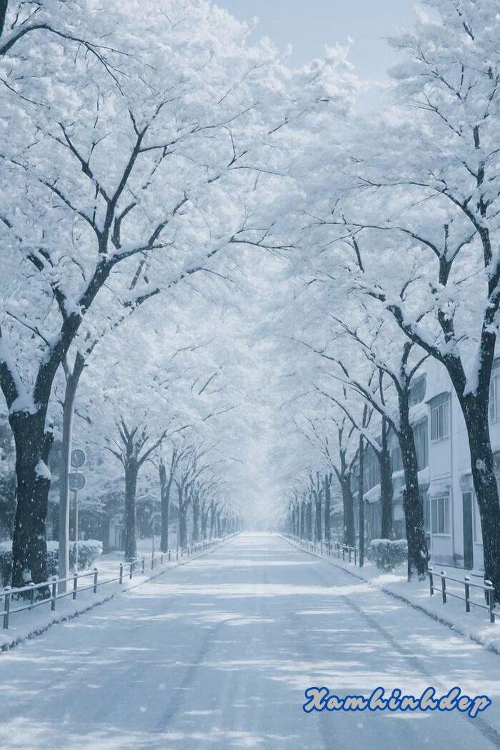 ảnh nền trắng đẹp 4k