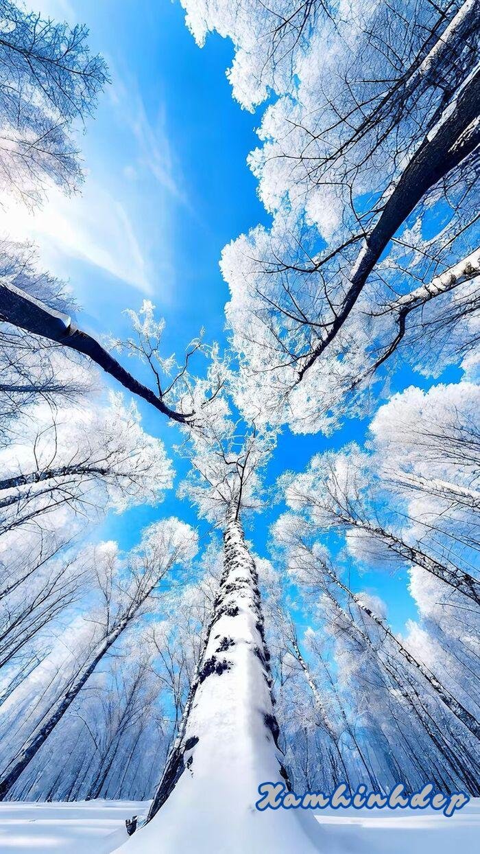 ảnh nền trắng đẹp hd full