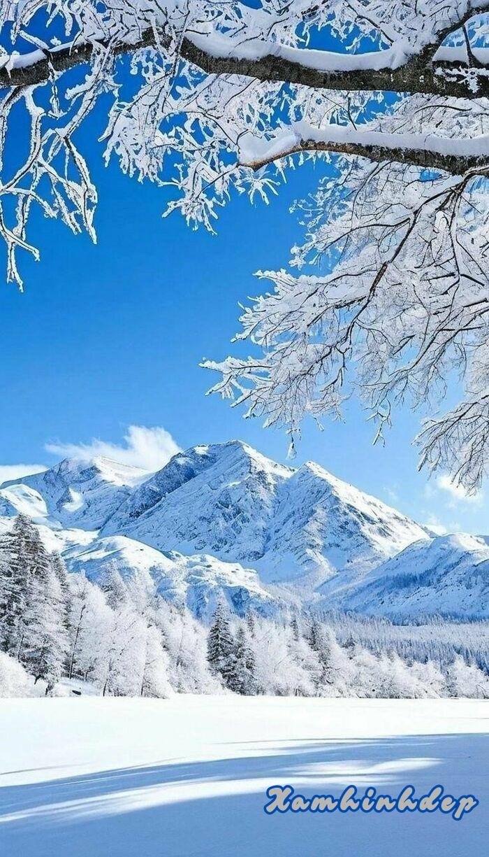 ảnh nền trắng full