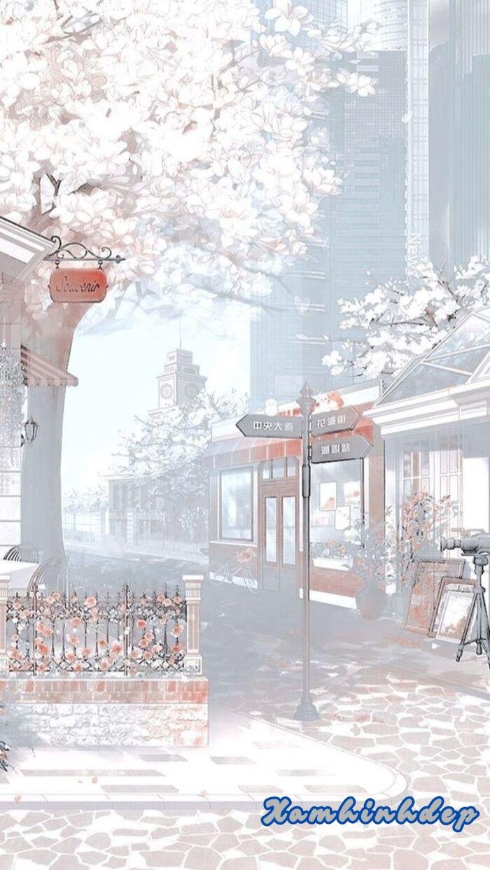 ảnh nền trắng hd