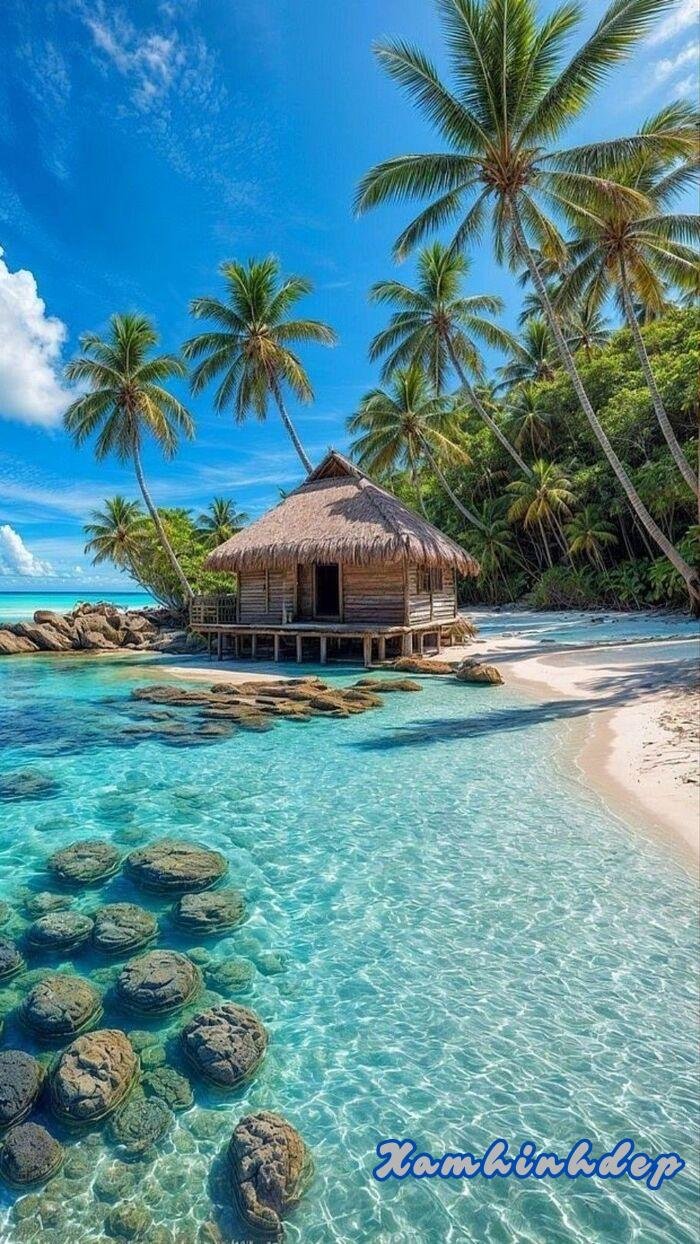 ảnh thiên nhiên 4s