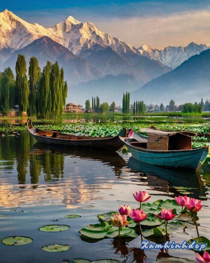 ảnh thiên nhiên đẹp 4d