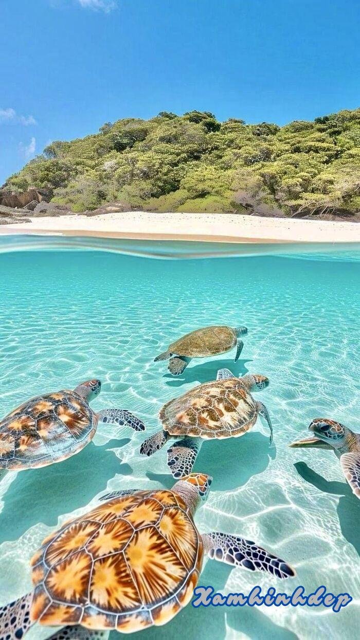 ảnh thiên nhiên đẹp 4k