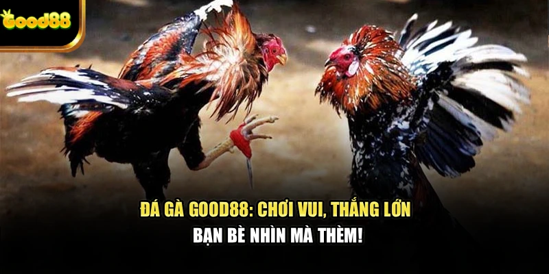da-ga-good88-choi-vui-thang-lon-ban-be-nhin-ma-them-