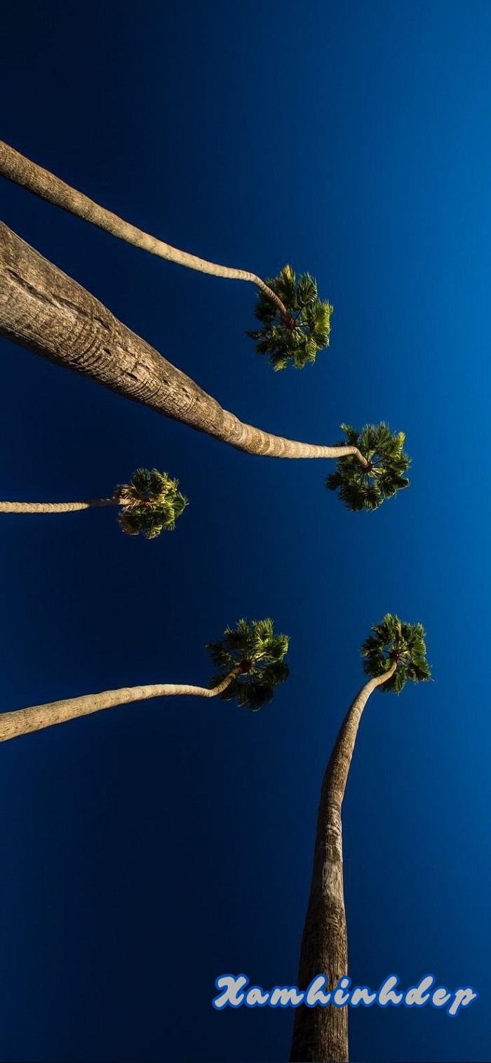 hình ảnh bầu trời đẹp nhất full hd