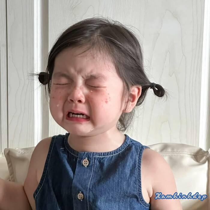 hình ảnh cute đáng yêu