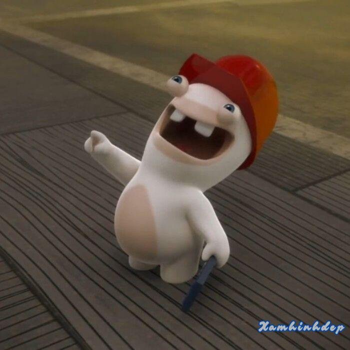 hình ảnh cute hài