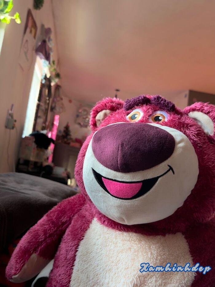 hình ảnh gấu dâu dễ thương