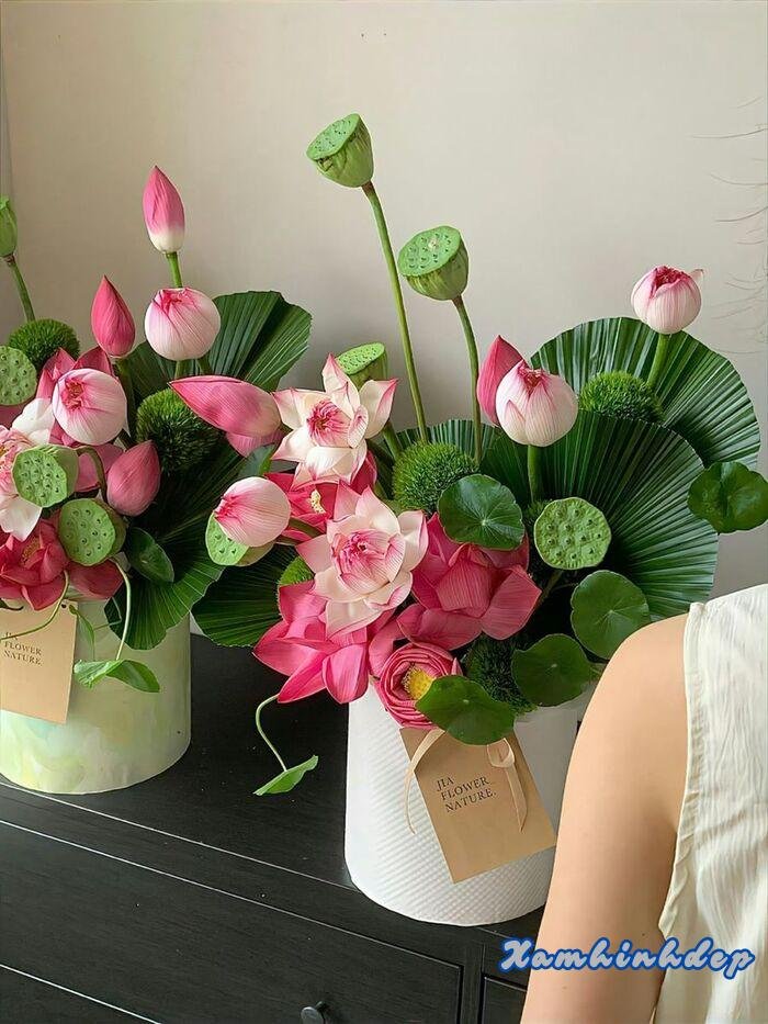 hình ảnh hoa sen cực đẹp