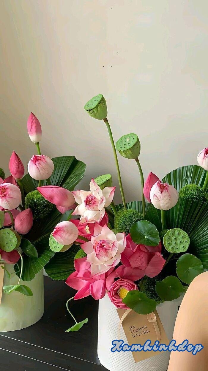 hình ảnh hoa sen lọ đẹp