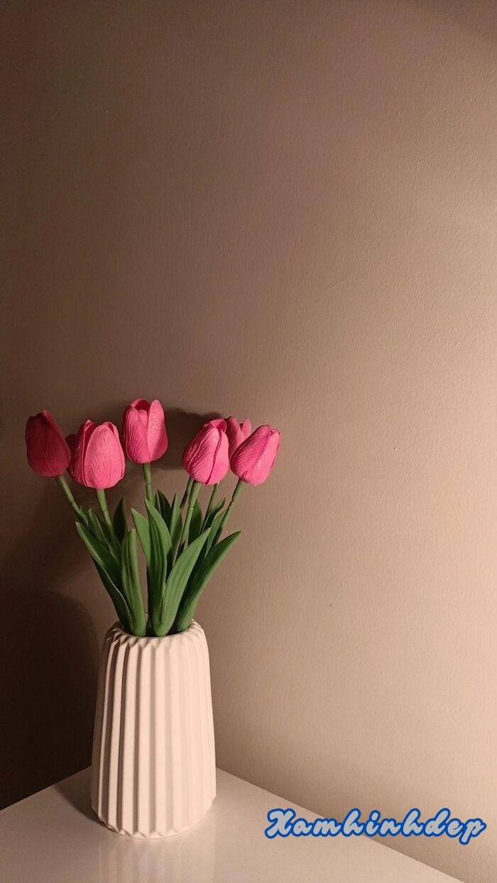 hình ảnh hoa tulip cực đẹp