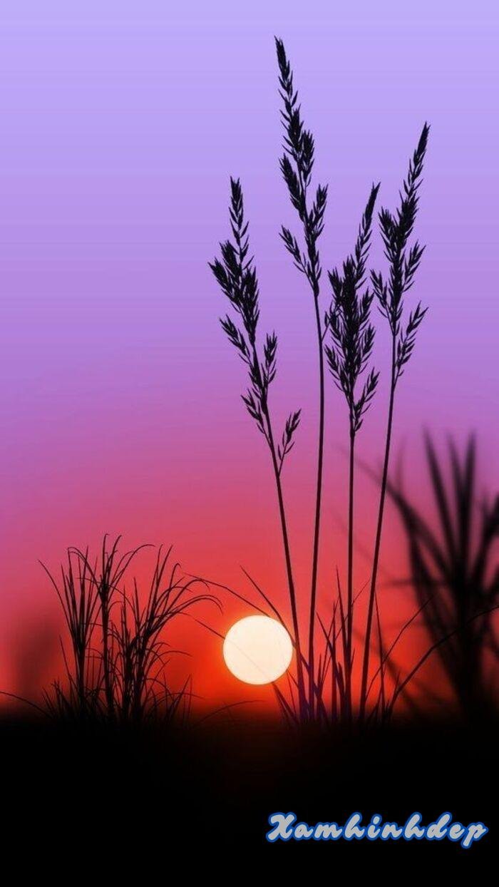 hình ảnh hoàng hôn đẹp hot nhất