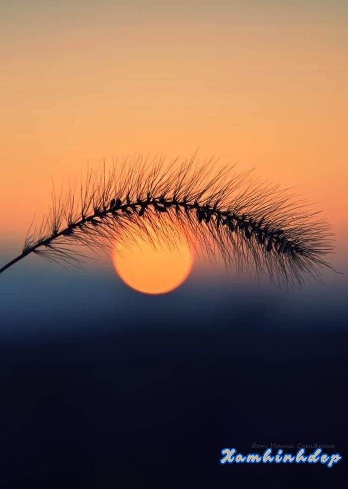 hình ảnh hoàng hôn đẹp nhất full hd