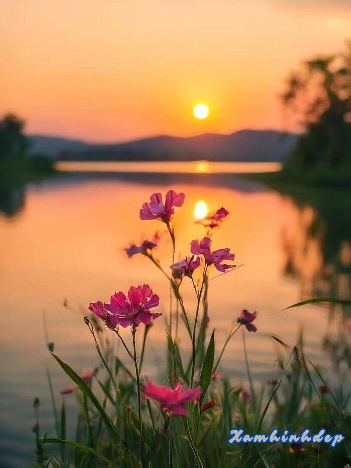 hình ảnh hoàng hôn đẹp thơ full hd