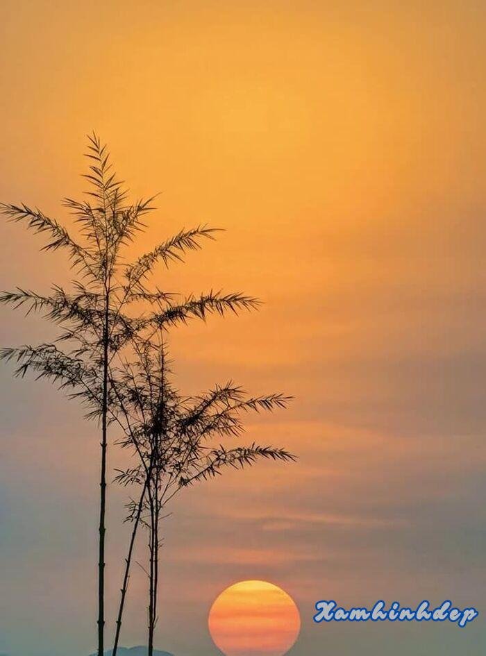 hình ảnh hoàng hôn đẹp thơ hot