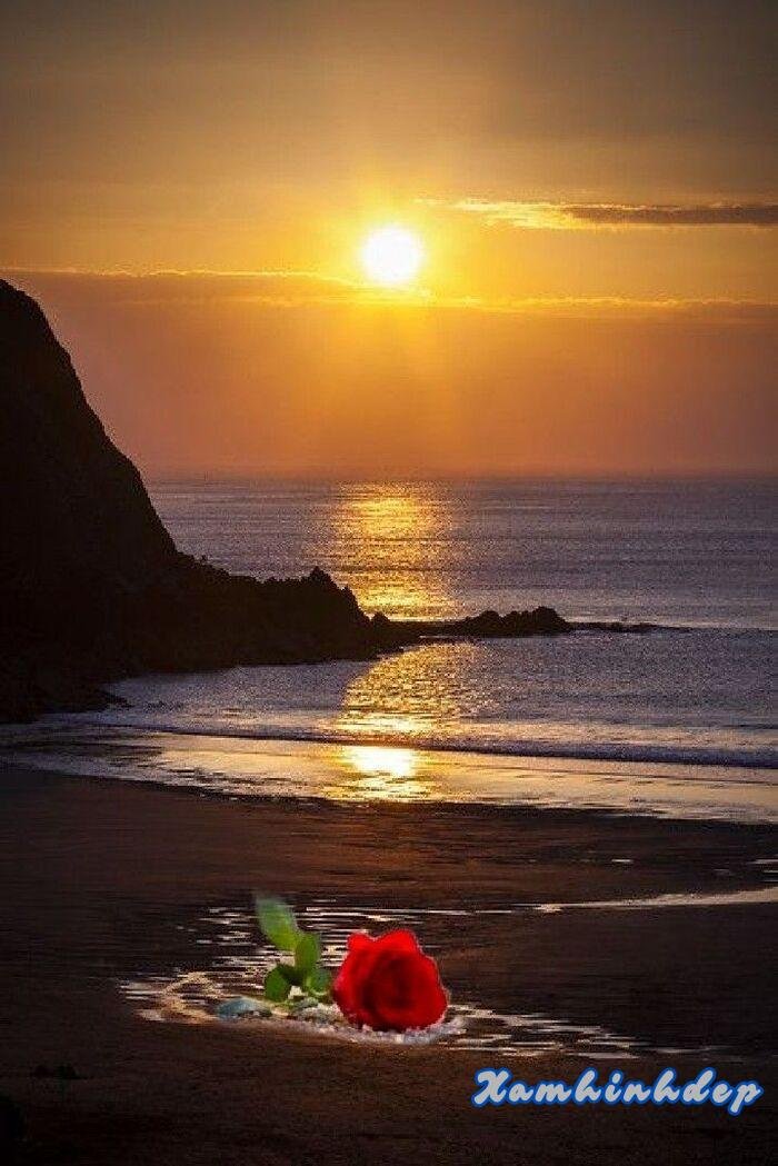 hình ảnh hoàng hôn full hd