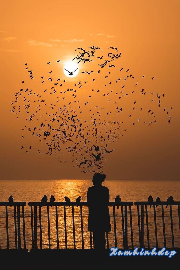 hình ảnh hoàng hôn hd