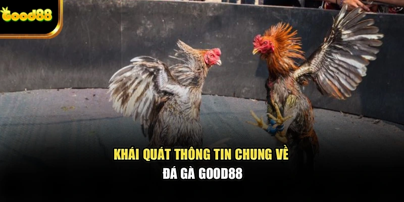 khai-quat-thong-tin-chung-ve-da-ga-good88