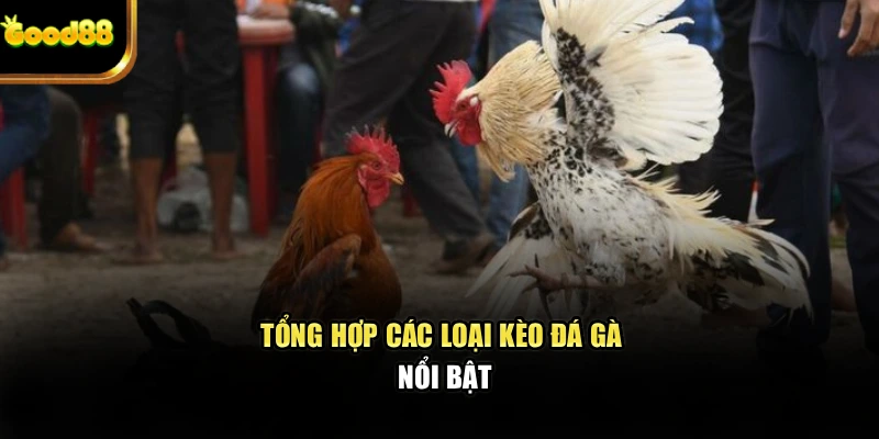 tong-hop-cac-loai-keo-da-ga-noi-bat