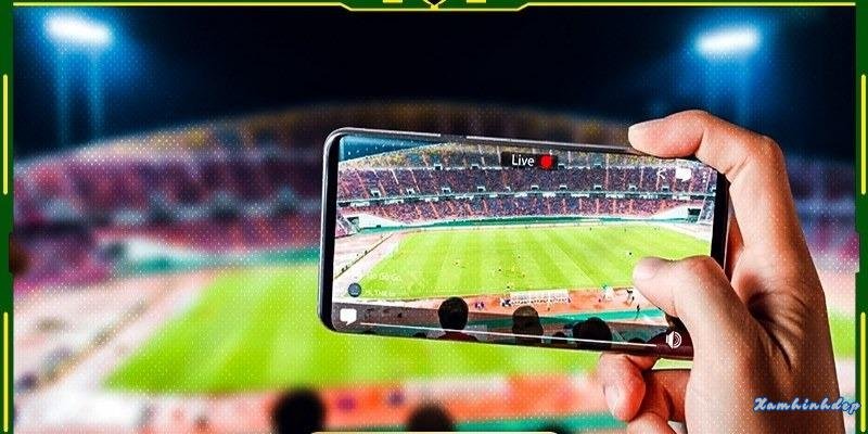 Cá cược bóng đá hôm nay – Cập nhật tỷ lệ kèo, soi cầu siêu chuẩn cùng OK988