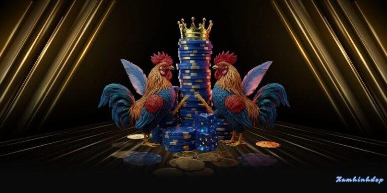 Đá gà lk68 – cá cược đỉnh cao, thử Chiến lược đặt cược phải linh hoạt