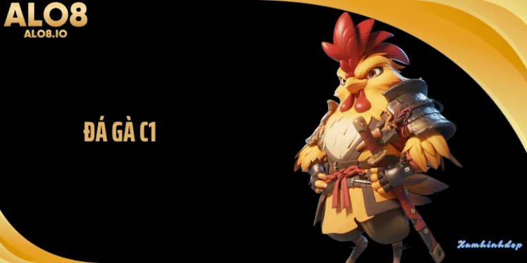 Những thắc mắc thường gặp về đấu trường chuyên nghiệp và bí quyết theo dõi diễn biến đá gà C1 sắc nét nhất năm 2026