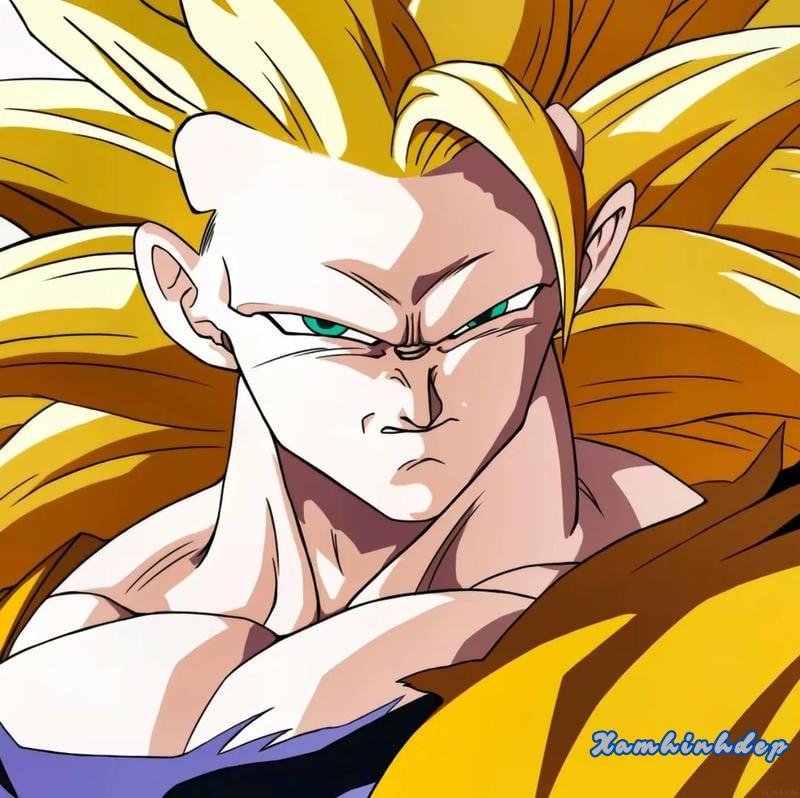 Album ảnh goku miễn phí