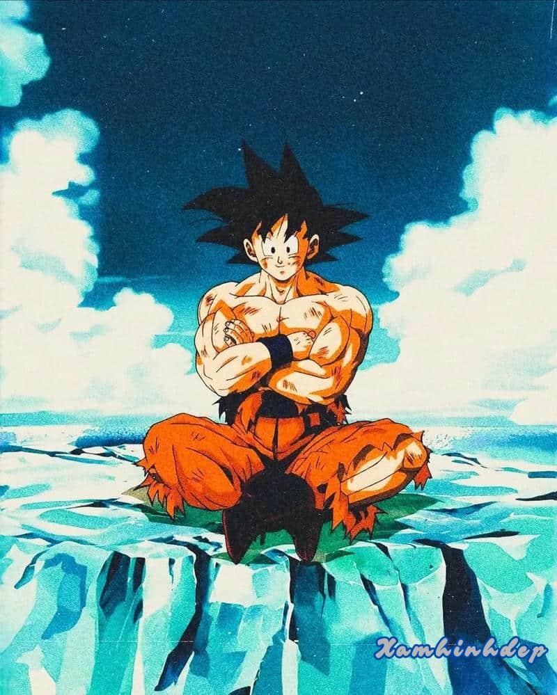Album ảnh goku thu hút