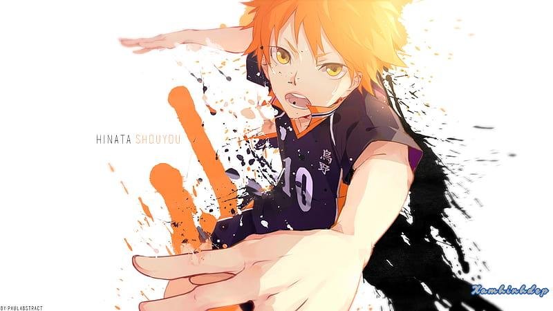 Album ảnh hinata shoyo mới nhất