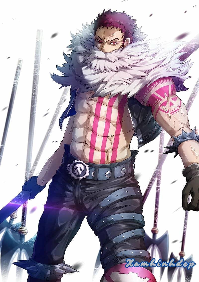 Album ảnh katakuri miễn phí