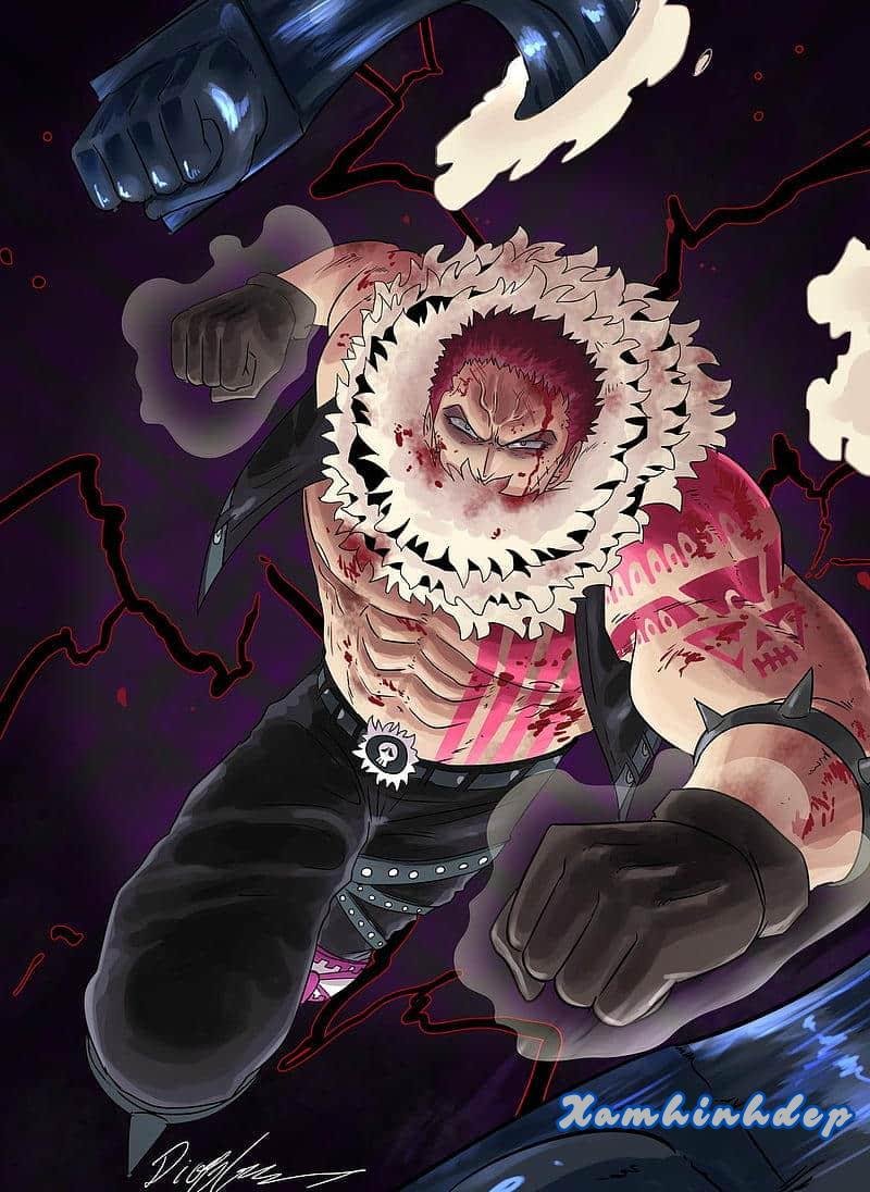 Album ảnh katakuri thu hút nhất