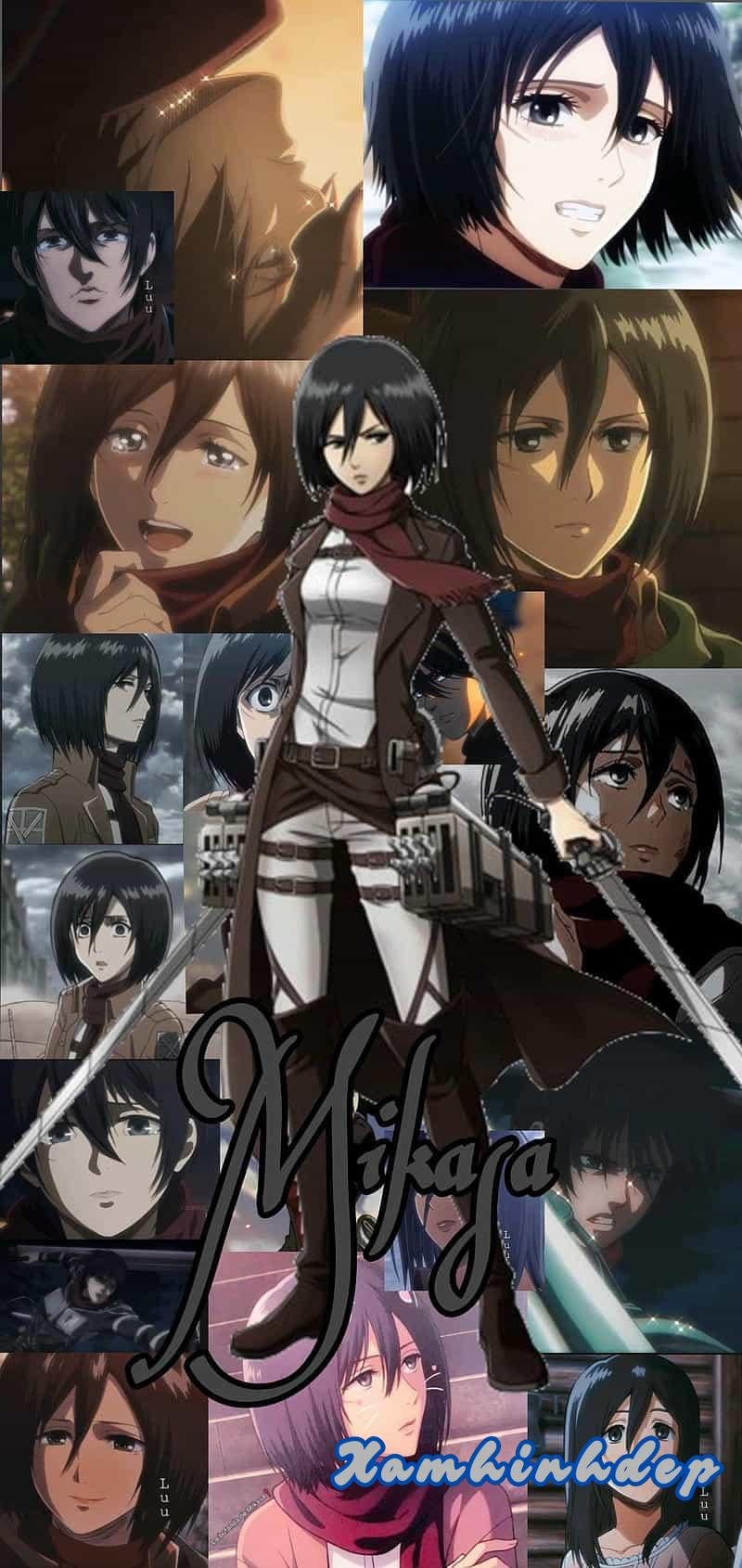 Album ảnh mikasa thu hút