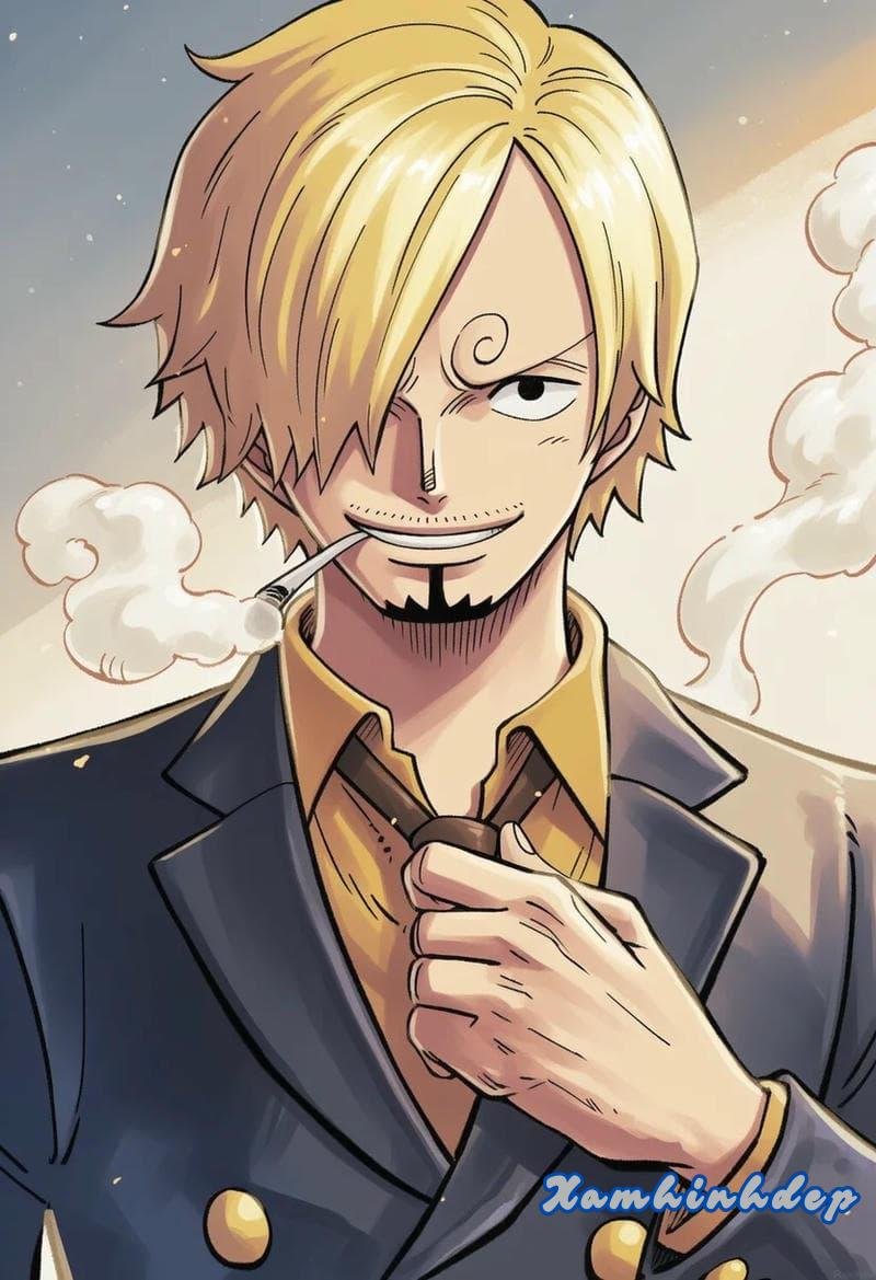 Album ảnh sanji thu hút nhất